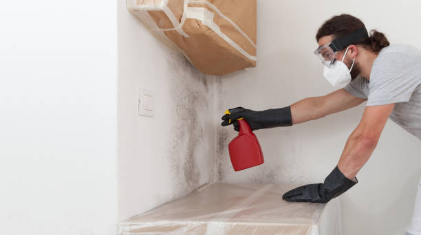 Professional Bathroom Mold Removal technician working in Syosset, NY